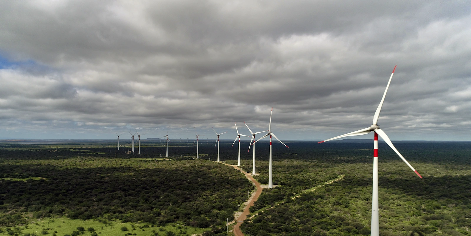 Parque eólico com turbinas alinhadas sobre vegetação densa sob céu nublado.