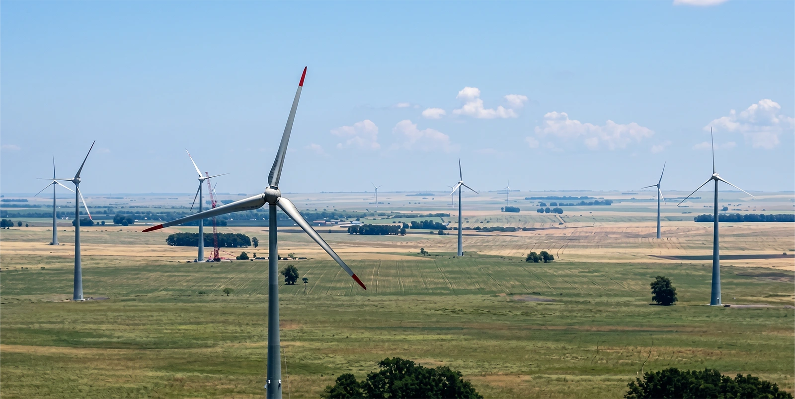 Turbinas eólicas distribuídas sobre ampla planície verde com áreas agriculturáveis ao fundo.