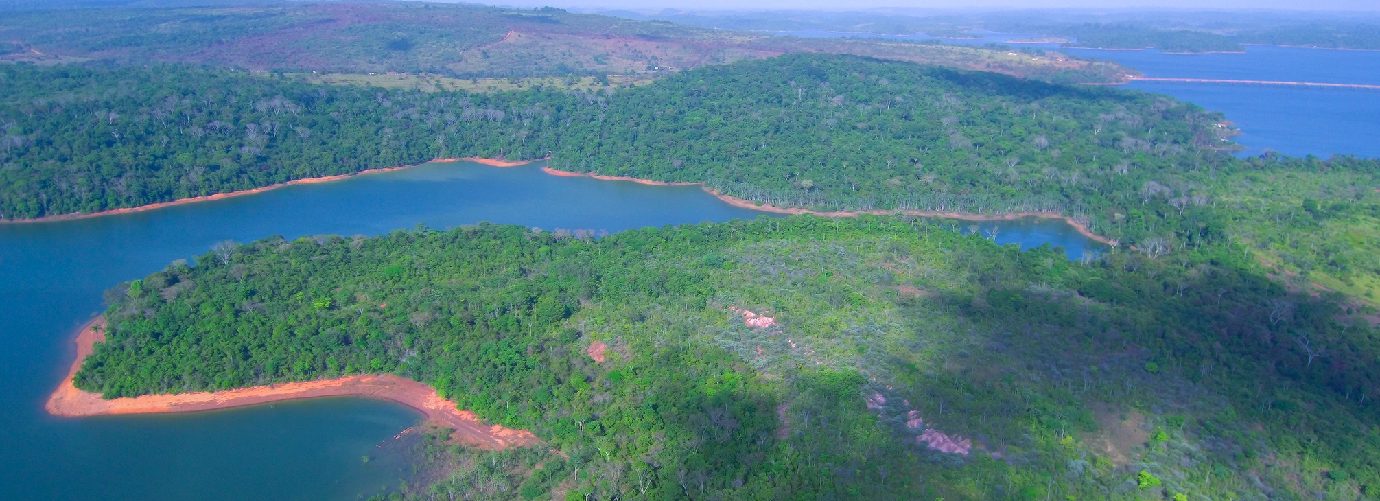 Ilha de germoplasma na Amazônia, origem de sementes e mudas para ações de descarbonização do Rock in Rio.