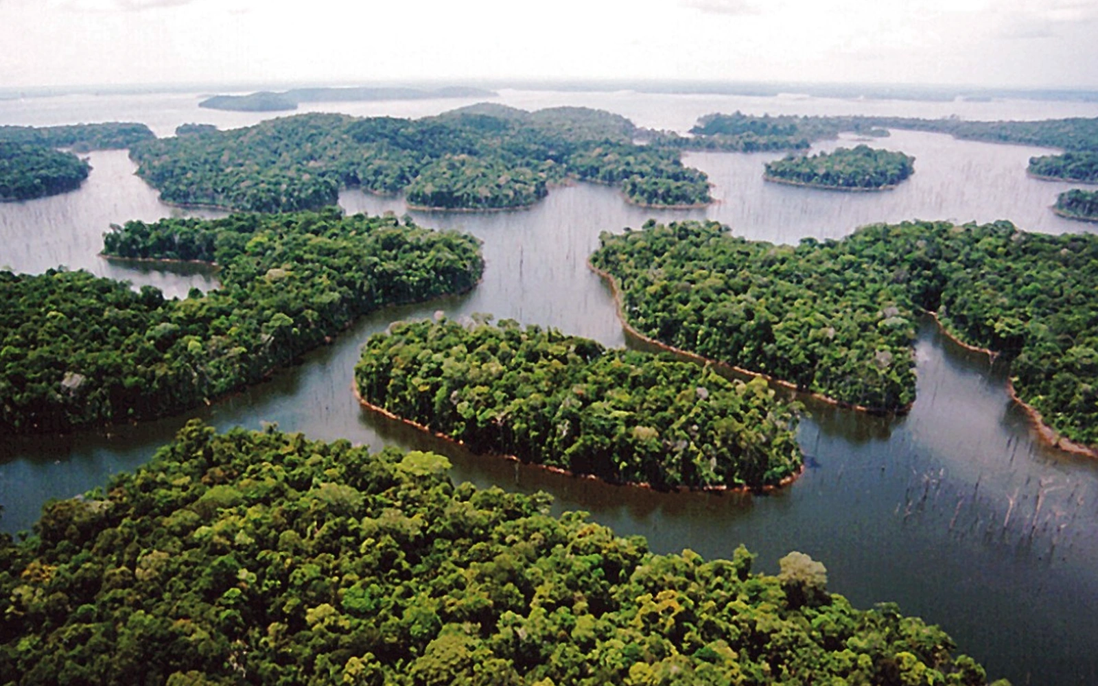 Vista aérea ilhas represa Balbina