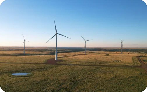 Coxilha Negra Wind Complex Image