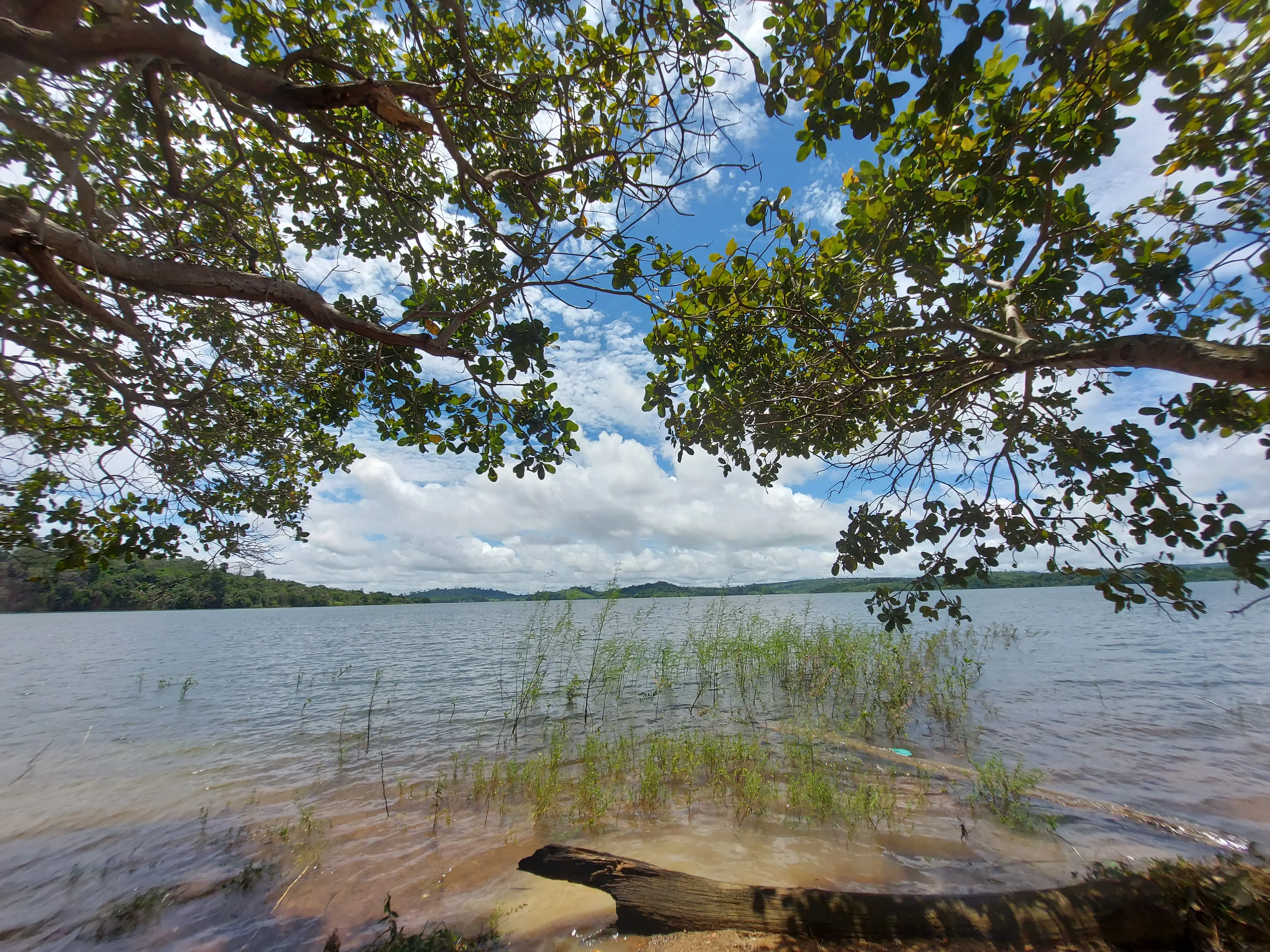 Estratégia Climática