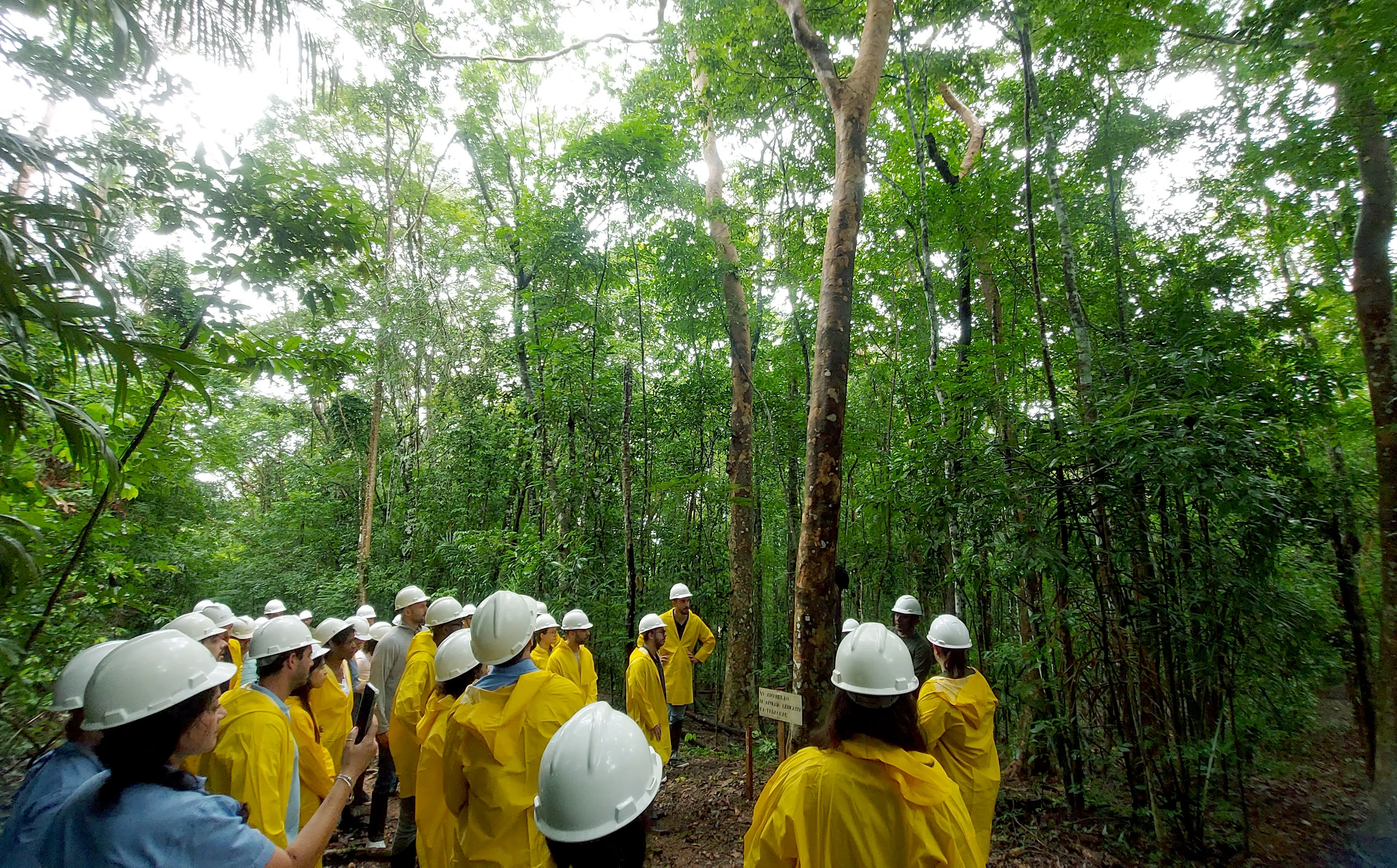 Grupo de pessoas com capa de chuva amarela na floresta.