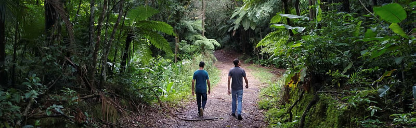 Banner sem descricao