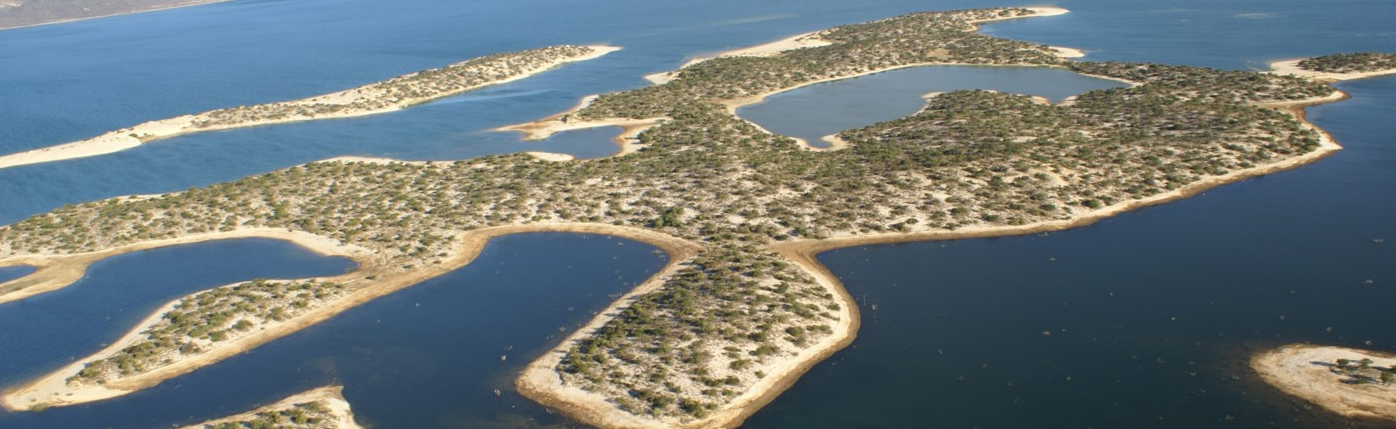 Banner sem Descrição