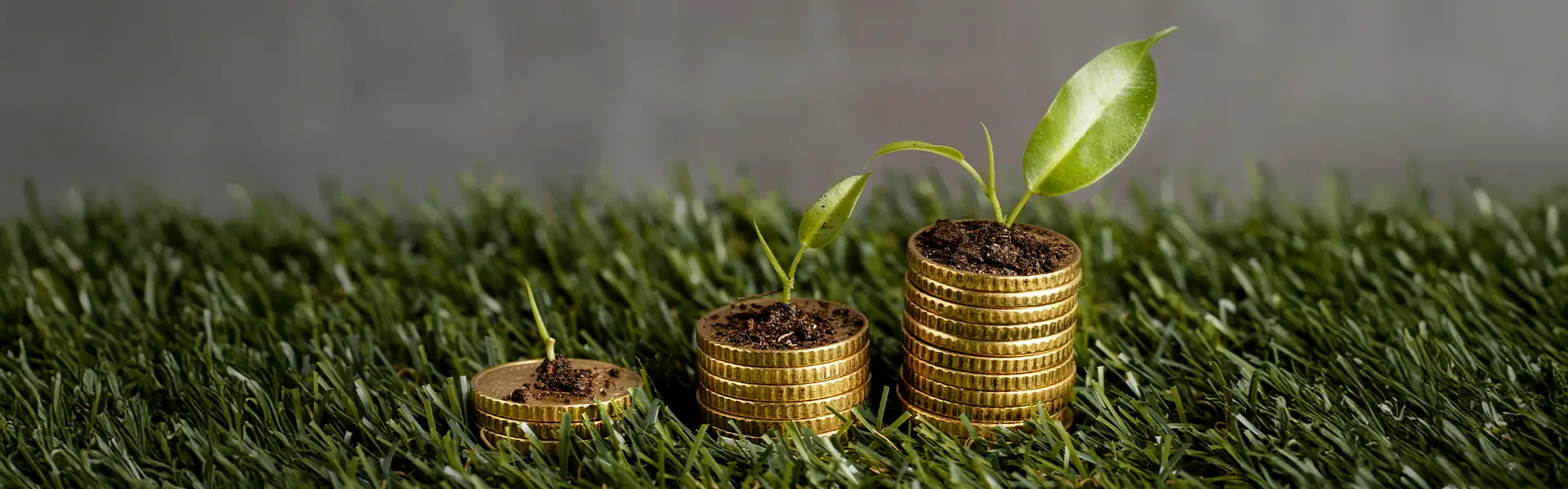Três montes de moedas em meio à grama