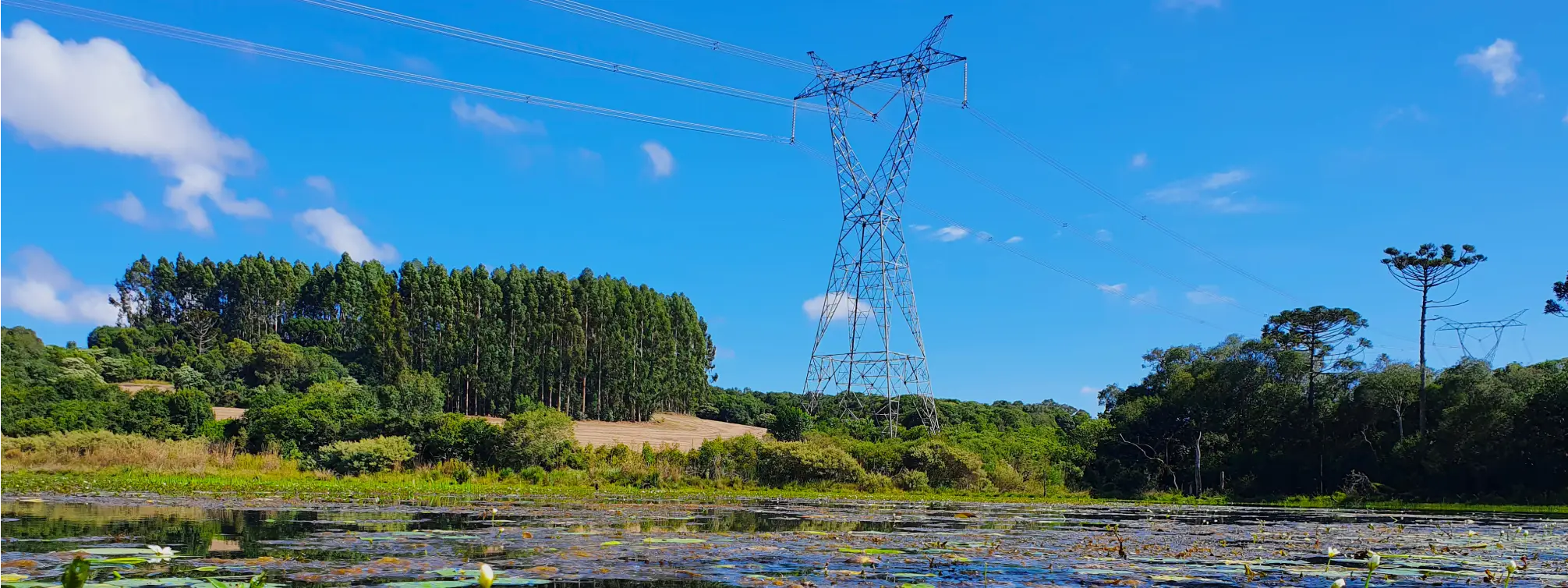 Linha de transmissão da AXIA Energia em Caxias do Sul, com torre de energia cercada por vegetação e área alagada.