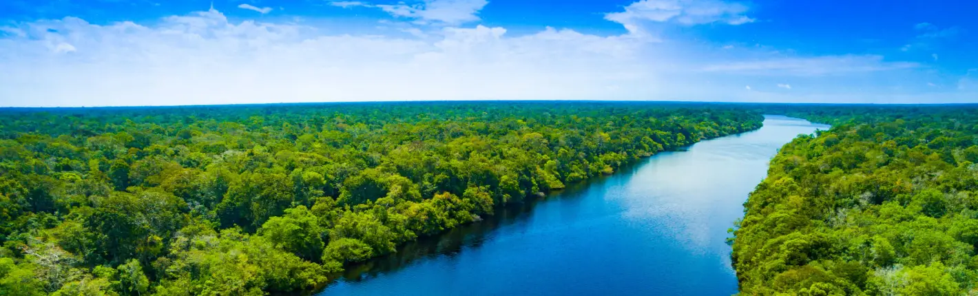 Banner sem Descrição