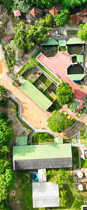 Vista aérea de um complexo cercado por área verde, com edificações de telhado verde, tanques de água, quadras esportivas e caminhos pavimentados em meio à vegetação.