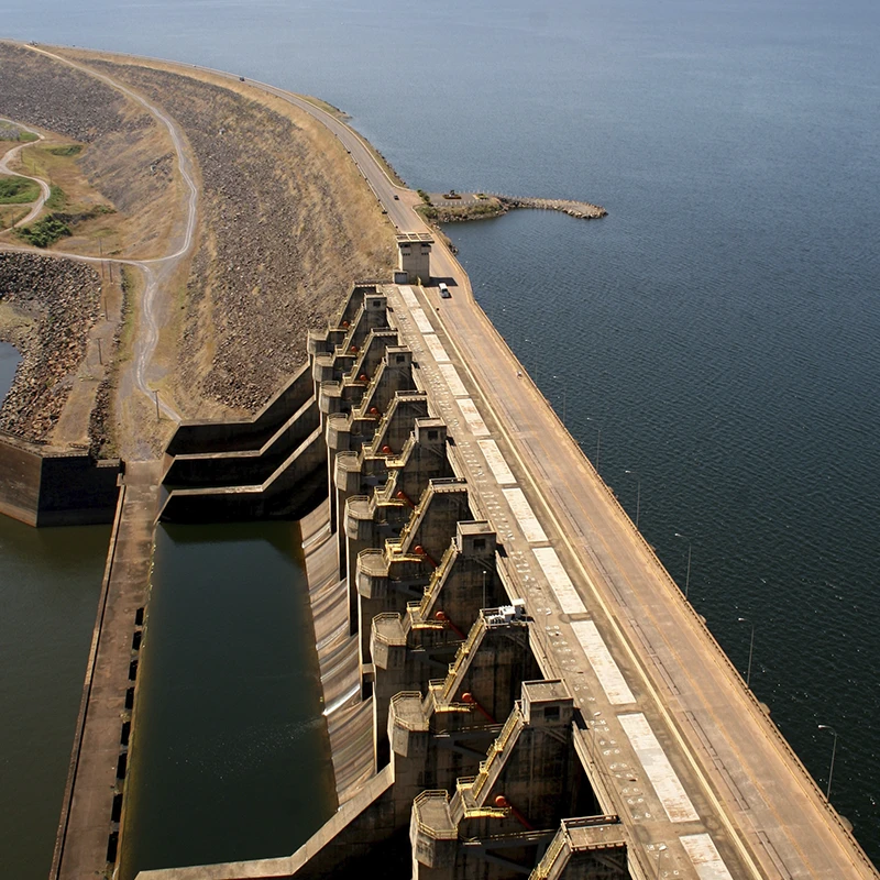 Image without description