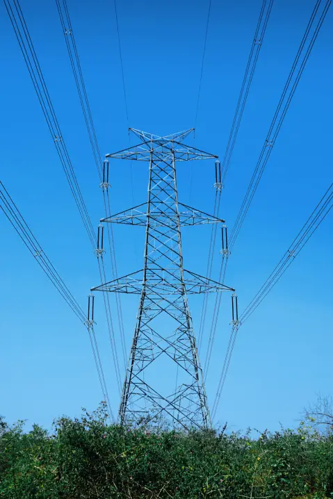 Image without description